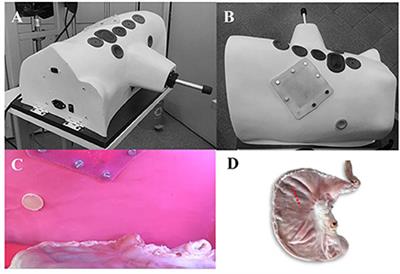 Development and validation of a composed canine simulator for advanced veterinary laparoscopic training